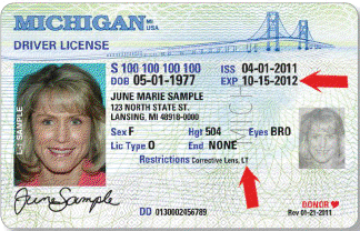 Michigan’s New Limited-Term Driver’s License and State Identification ...